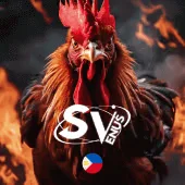 Casino vf555